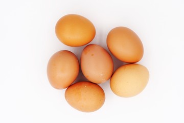 Egg on white background