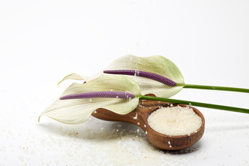 Wellness, Salz, Peeling, Ruhe, Massage