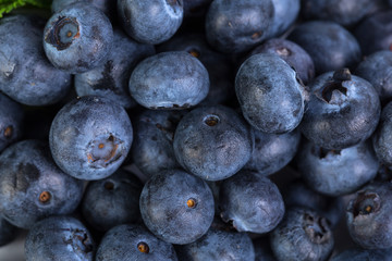 Freshly picked blueberries