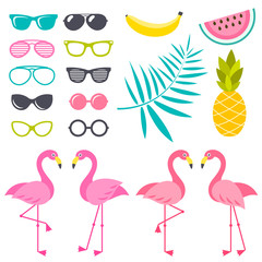 Set of Flamingo birds, sunglasses and fruits for design
