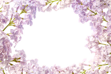 Fototapeta na wymiar Border of lilac flowers. Bouquet of purple flowers is isolated on white background. View from above, flat lay concept.
