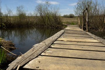 Obraz premium Wooden bridge over the river in summer