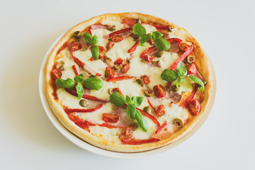 Fresh pizza with tomatoes, cheese mozzarella, red pepper and olives decorated basil leaves on white wooden table. Close up. Toned