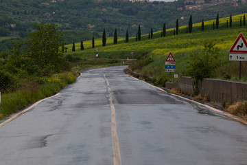 beautiful green summer landscape in Tuscany, Italy