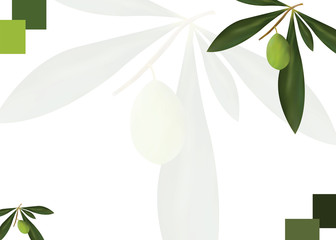 card with olive tree vector illustration - greek olive oil card