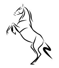 Sketch of the horse standing on hind legs.