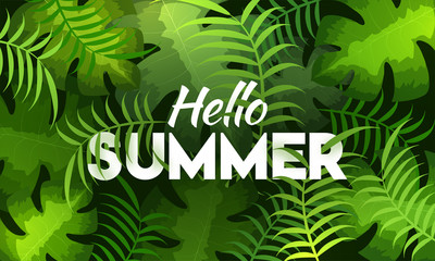 Stylish text Hello Summer on Green Leaves Background.