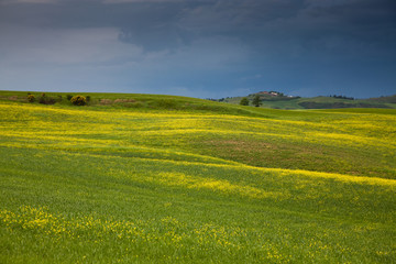 beautiful green summer landscape in Tuscany, Italy