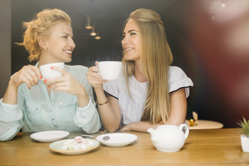 Two women gossiping at a meeting in a cafe.