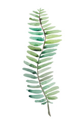 Bright palm leaf, watercolor image for use in thematic products. Good for wedding subjects. You can use the mock-up invitation cards, postcards an image for the fabric. Palma - a tropical plant. 