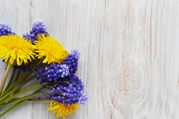 Muscari flowers on a wooden bleached background, top view, flat layout. concept spring, summer, Mother's Day holiday, March 8. 