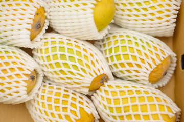 fresh ripe mango
