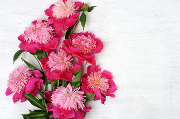 floral arrangement of peonies