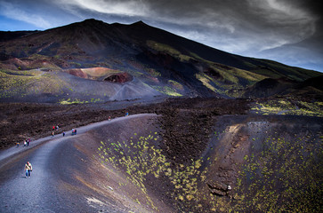 Etna national park panoramic view of volcanic landscape with crater, Catania, Sicily