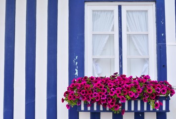 Window in an old house decorated with flower.