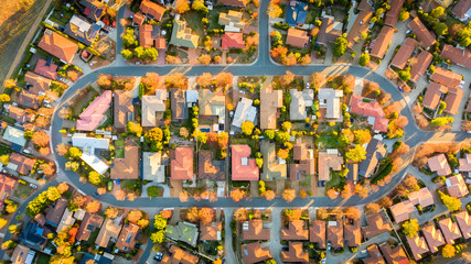 Aerial view of a typical Australian suburb - obrazy, fototapety, plakaty