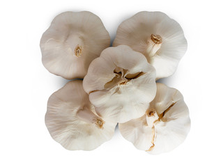 Beautiful top view Garlic.(clipping path)