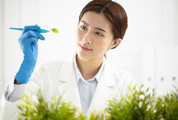 young woman scientist watching a plant