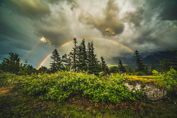 After the storm