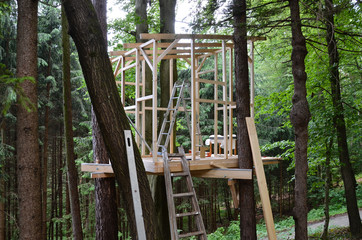 Fototapeta premium Baumhaus bauen