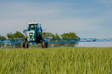 Agricultural sprayers, spray chemicals on young wheat.