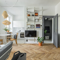 Apartment in scandinavian style