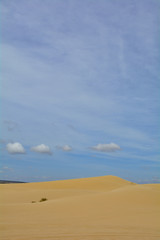 The White Sand Dunes near Mui Ne in south central Bình Thuan Province, Vietnam
