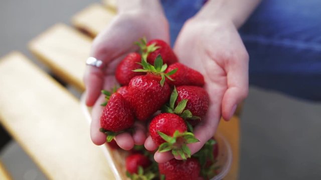 Fresh ripe strawberry in the hands of a beautiful woman.