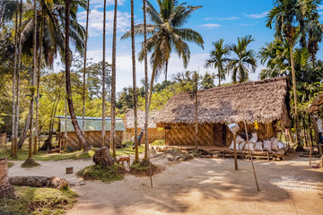 Rural Indian tribal village scene at Baratang island Andaman India.