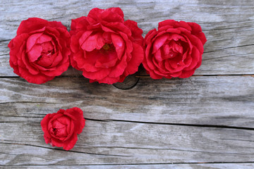 Styled stock photo. Spring feminine scene, floral composition. Decorative banner made of beautiful red roses flowers on a wooden table .Blurred background. Flat lay, top view. Concept spring flowers.