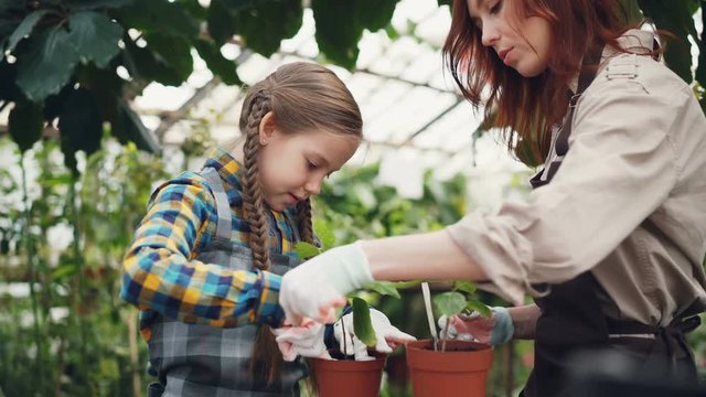 Caring mother professional gardener is teaching her daughter to hoe soil in plant pot with small shovel and talking to child. Growing flowers and happy family concept.