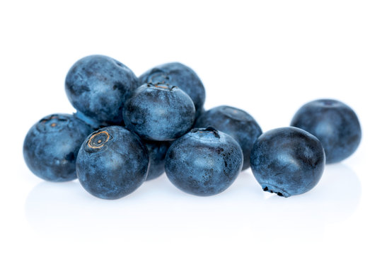 Blueberry heathberry isolated on white background