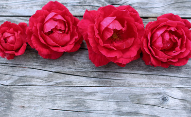 Styled stock photo. Spring feminine scene, floral composition. Decorative banner made of beautiful red roses flowers on a wooden table .Blurred background. Flat lay, top view. Concept spring flowers.