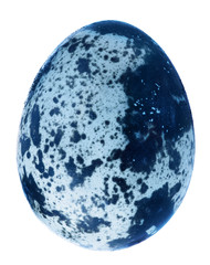 one dark blue egg on white