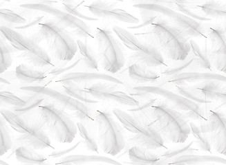 seamless background from isolated pure feathers