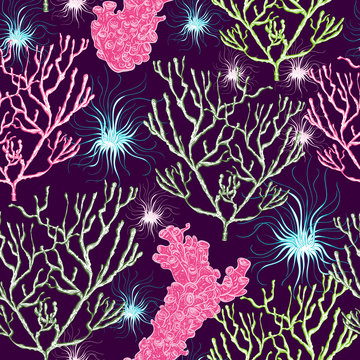 Seamless pattern with marine plants, corals and seaweed. Vector illustration 