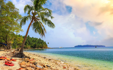 Exotic North Bay island sea beach landscape Andaman, India.	