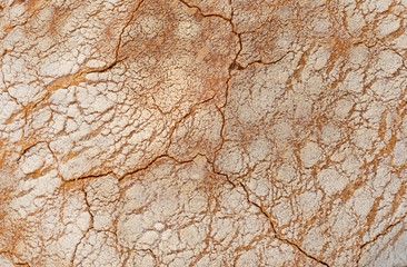texture surface of bread. closeup background