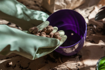 Replanting: women's hands in mint gloves putting drainage into flowerpot. Close up.