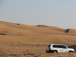 Fototapeta na wymiar Desert Tour - Dubai - United Arab Emirates