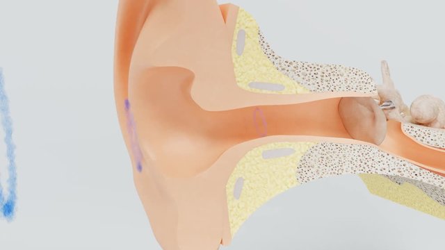 Sound waves affect the hearing membrane.