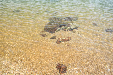 clear sea ripple and sand in day time