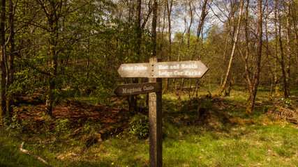 Wooden signpost in Mugdock Country Park.
