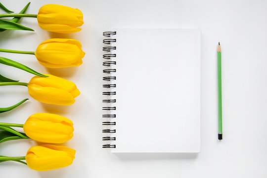 open notepad, pencil and yellow tulips