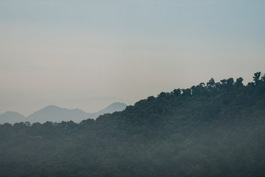 Fototapeta fog above rainforest