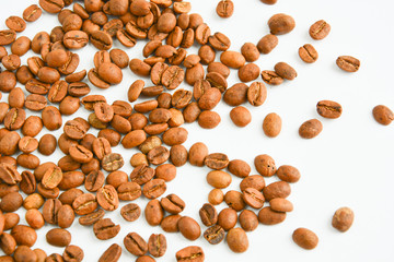 scattered coffee beans on a light background