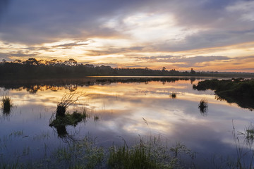 Obraz na płótnie Canvas reservoir on the top of Phu Kradueng National Park 1200 msl, Loei province, Thailand