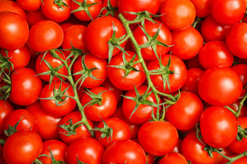 Many fresh ripe tomatoes as background, top view