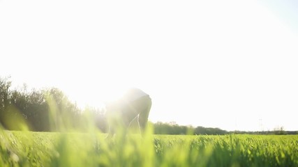 Bright, sunny day. Father enjoys his time with little daughter. Girl rushes to the dad and hug him. Young man ups the daughter to his arms. Green grass