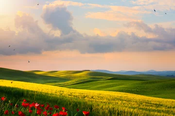 Fotobehang italy countryside landscape  sunset over the tuscany hills © Konstiantyn